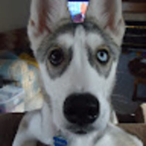 Meet your Posher, Michele